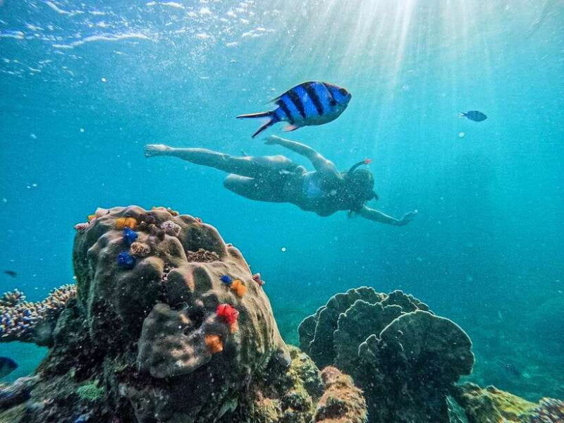 koh-tao-koh-nangyuan-hidden-bays-snorkeling-tour-w-lunch