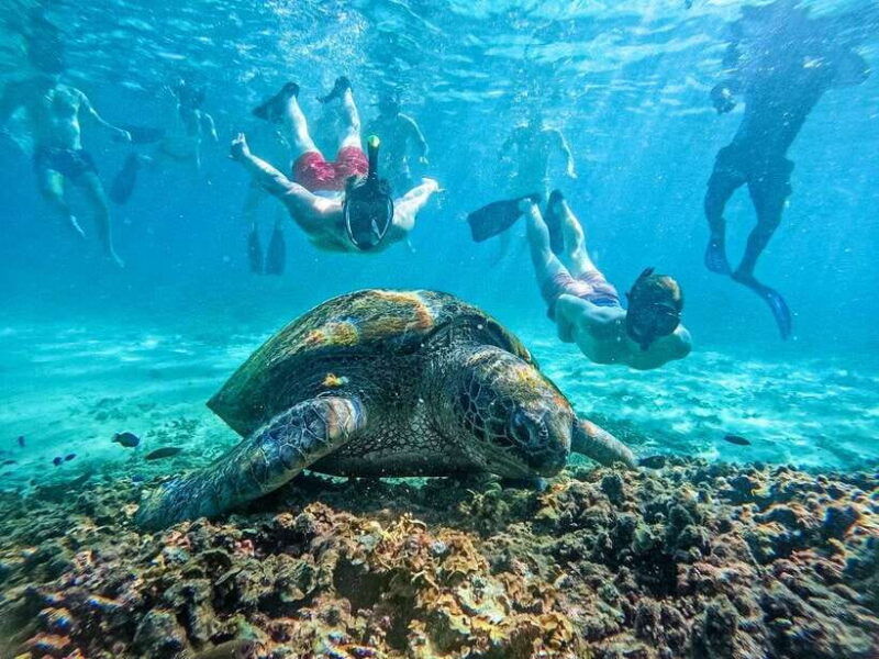koh-tao-koh-nangyuan-hidden-bays-snorkeling-tour-w-lunch