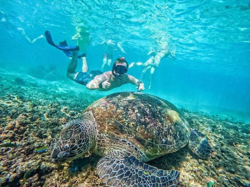 koh-tao-koh-nangyuan-hidden-bays-snorkeling-tour-w-lunch
