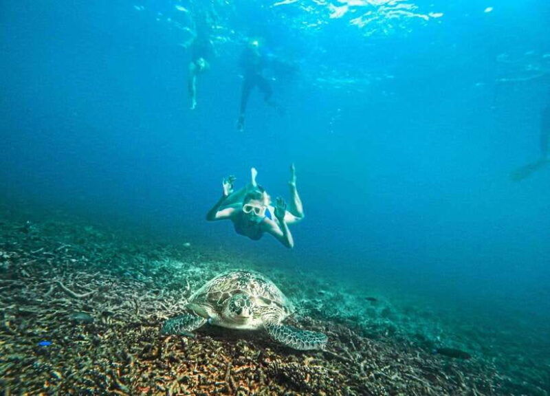 koh-tao-koh-nangyuan-hidden-bays-snorkeling-tour-w-lunch