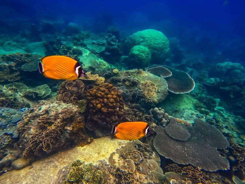 koh-tao-koh-nangyuan-hidden-bays-snorkeling-tour-w-lunch
