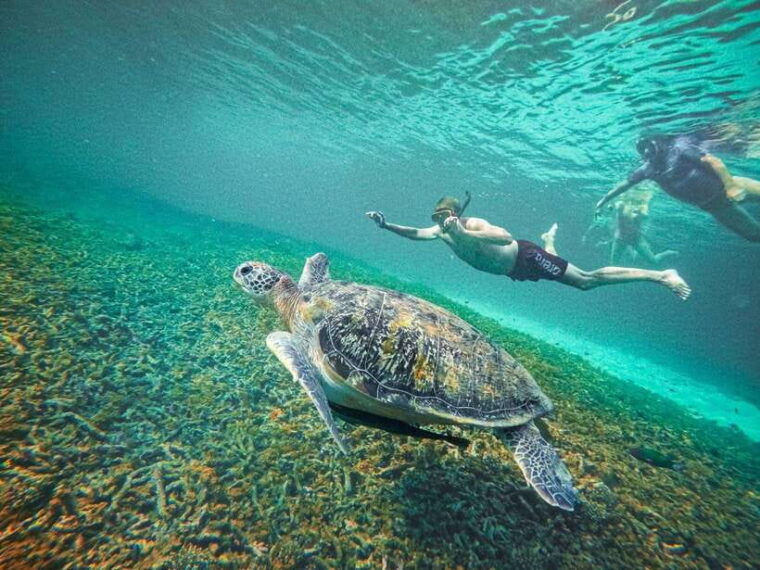 koh-tao-koh-nangyuan-hidden-bays-snorkeling-tour-w-lunch