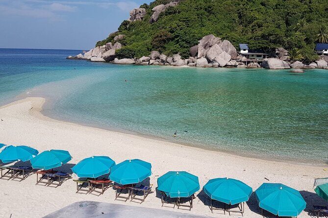Koh Tao & Koh Nangyuan Snorkeling Trip By Speedboat From Koh Phangan - Who Will Love This Tour?  