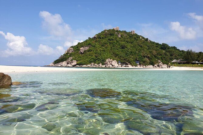 Koh Tao & Koh Nangyuan Snorkeling Trip By Speedboat From Koh Phangan - FAQ  