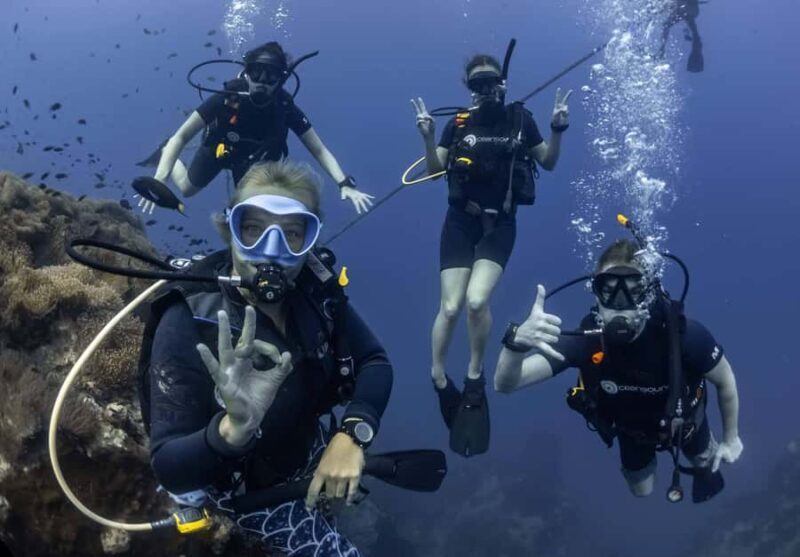Koh Tao: PADI Premium Open Water Diver Course (2.5 Days) - What to Expect from the Koh Tao PADI Premium Open Water Course