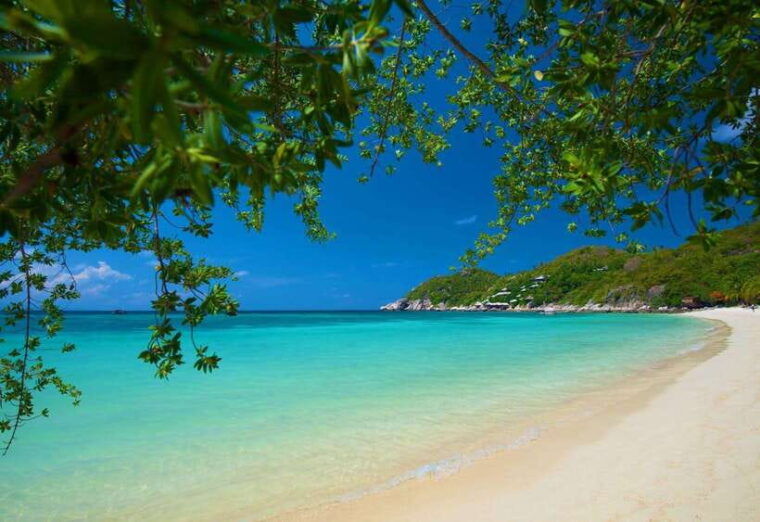 koh-tao-premium-snorkel-tour-to-koh-nangyuan-bays-by-oxygen