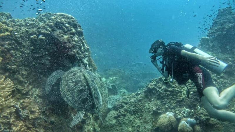 Koh Tao: SCUBA Open water certification - What to Expect from Your Koh Tao Open Water Certification Tour