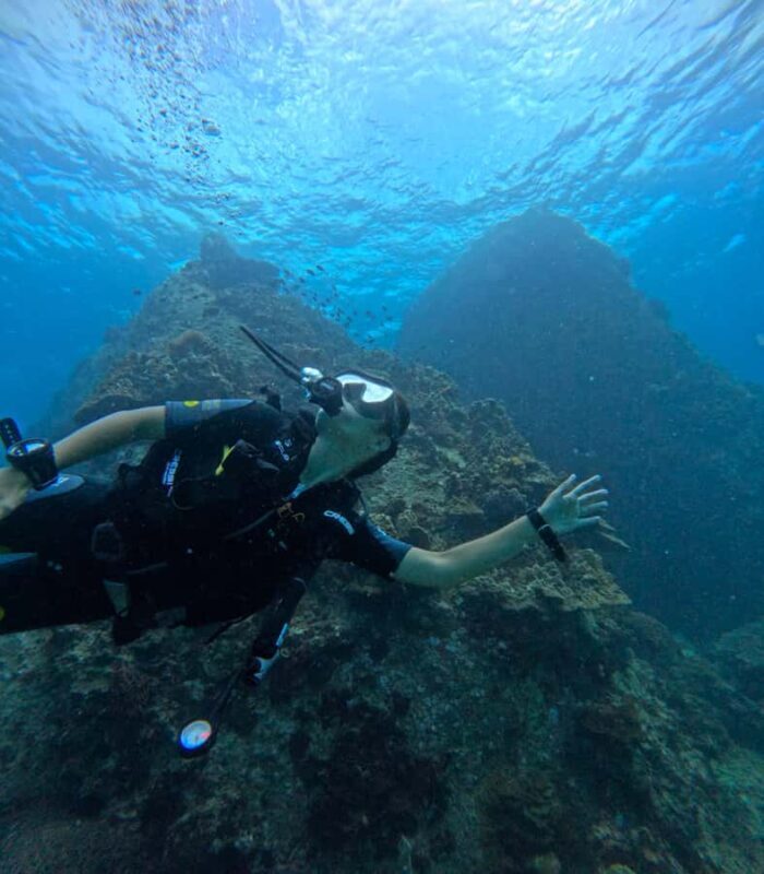Koh Tao: Try Scuba Diving Experience + Hotel Pickup 2-dives - Final Thoughts: Is It Worth It?