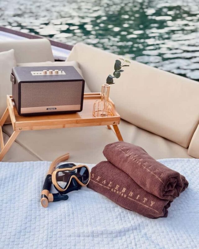 Koh Tao: VIP Private Long-tail or Speedboat Exclusive Tour - Koh Nang Yuan — A Tropical Paradise