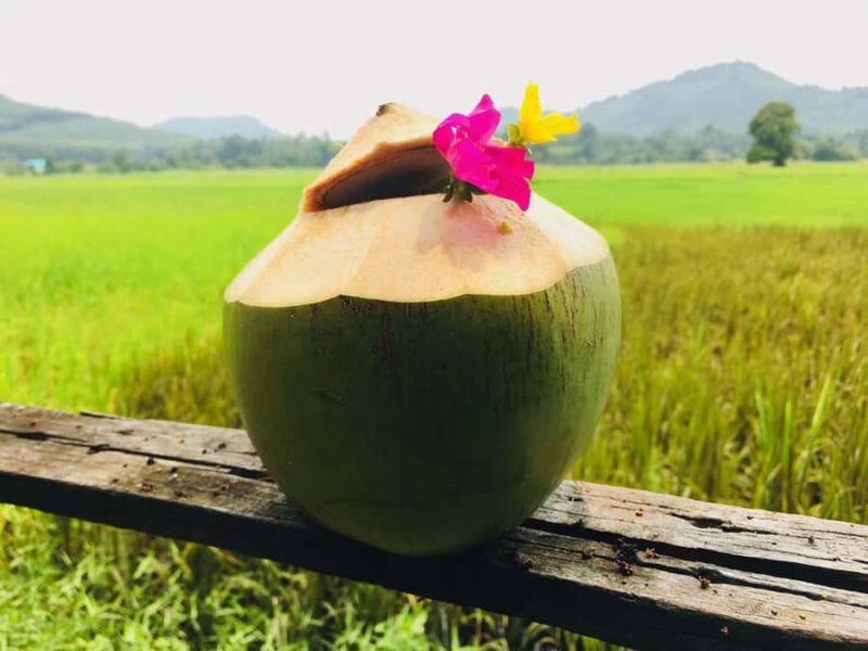 Koh Yao Noi: The Local Way of Life Eco Half-Day Tour - An Introduction to the Tour