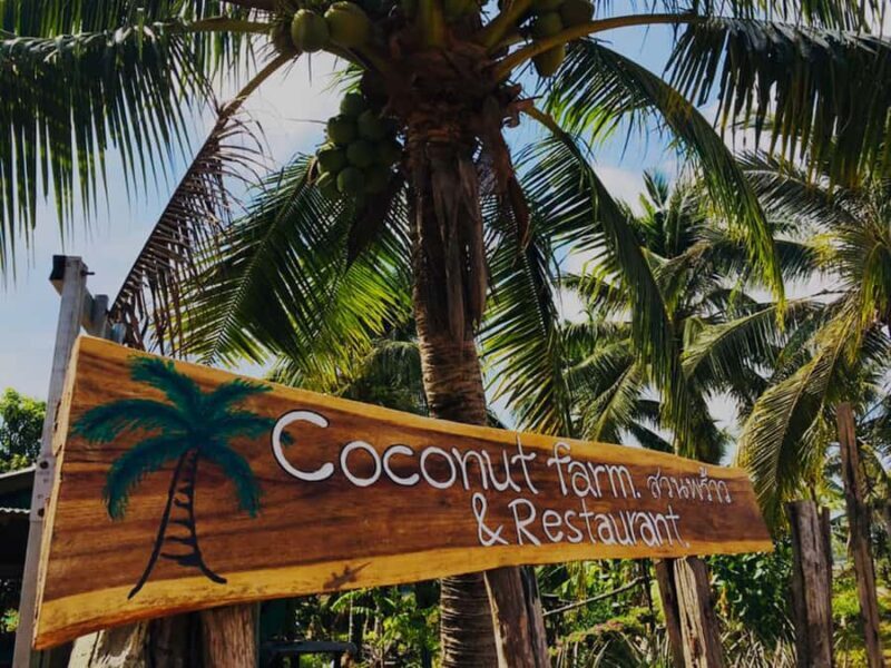 Koh Yao Noi: The Local Way of Life Eco Half-Day Tour - Who Is This Tour Best For?