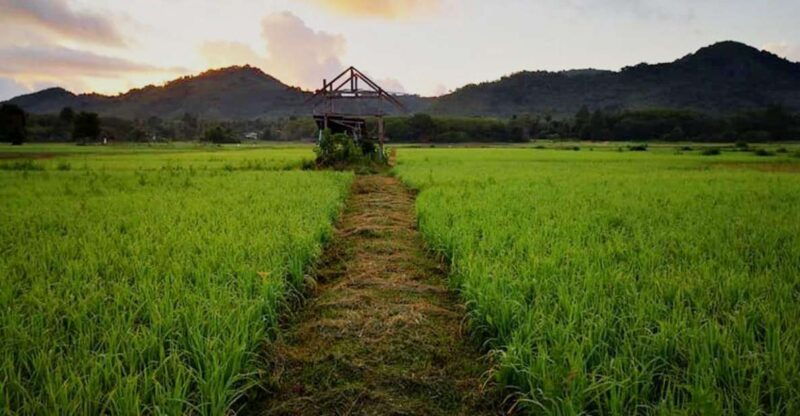 koh-yao-noi-the-local-way-of-life-eco-half-day-tour