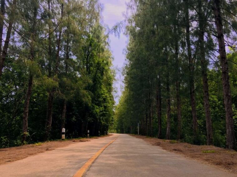 koh-yao-noi-the-local-way-of-life-eco-half-day-tour