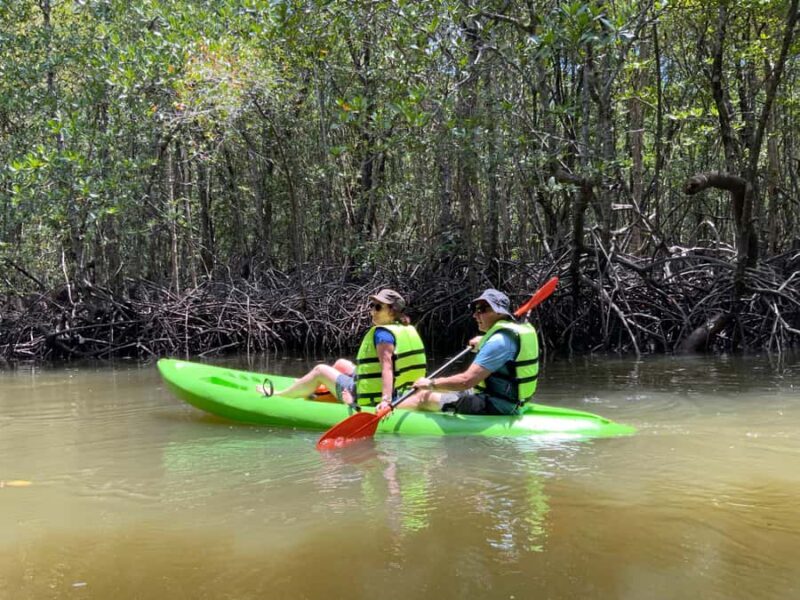 Koh Yao Yai: Klong Hia Mangrove Kayaking - An Overview of the Experience