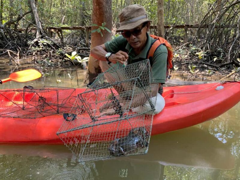 Koh Yao Yai: Klong Hia Mangrove Kayaking - Final Thoughts: Who Should Consider This Tour?