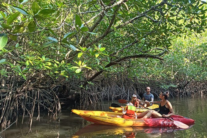 Koh Yao Yai Mangrove Forest Kayak with Local Life Discovery Tour - Practical Details and Tips