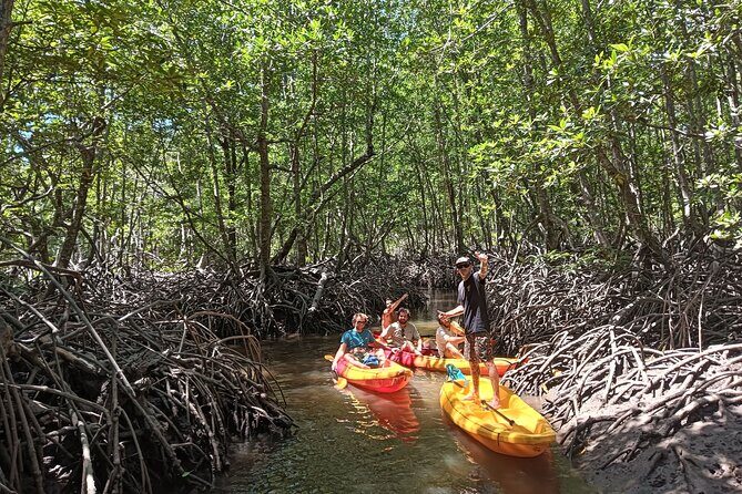 Koh Yao Yai Mangrove Forest Kayaking and Local Village with Lunch - A Peek Into Local Industries: Rubber Tapping & Rice Fields