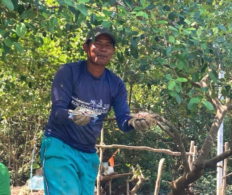 Koh Yao Yai : Mangrove Kayaking Adventure - Key Points