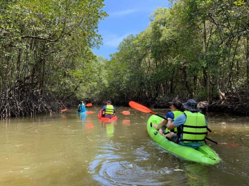 Koh Yao Yai : Mangrove Kayaking Adventure - What You Can Expect During the Tour