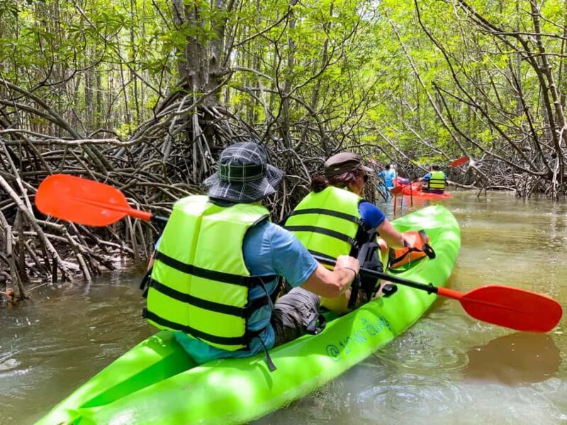 Koh Yao Yai : Mangrove Kayaking Adventure - FAQ