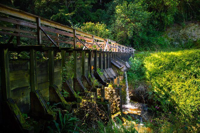 Kohala Waterfalls Small Group Adventure Tour - Final Thoughts