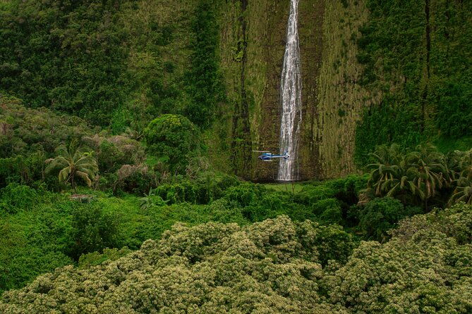 kohala-waterfalls-with-exclusive-landing-helicopter-tour-2