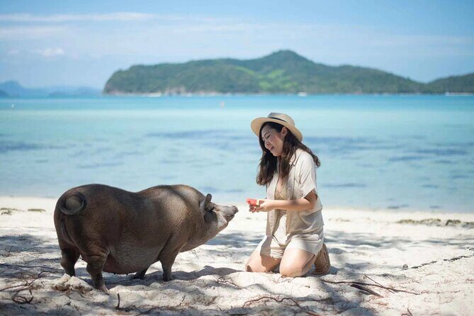 kohsamui.tours - Pig Island Snorkeling Eco Tour by Speed Boat - Final Thoughts