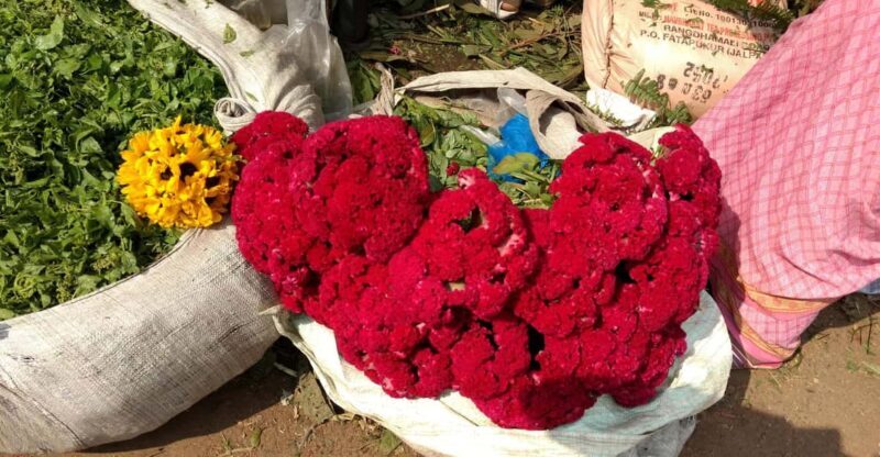 Kolkata: Half-Day Morning Tour w/ Flower Market - Key Points