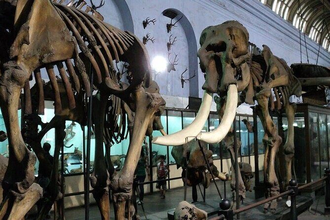 Kolkata Heritage City Tour - Why This Tour Offers Good Value