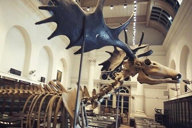 Kolkata Heritage City Tour - Who This Tour Is Best For