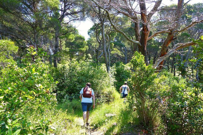 Kolocep Island Hiking and Swimming Full Day Trip from Dubrovnik - FAQs