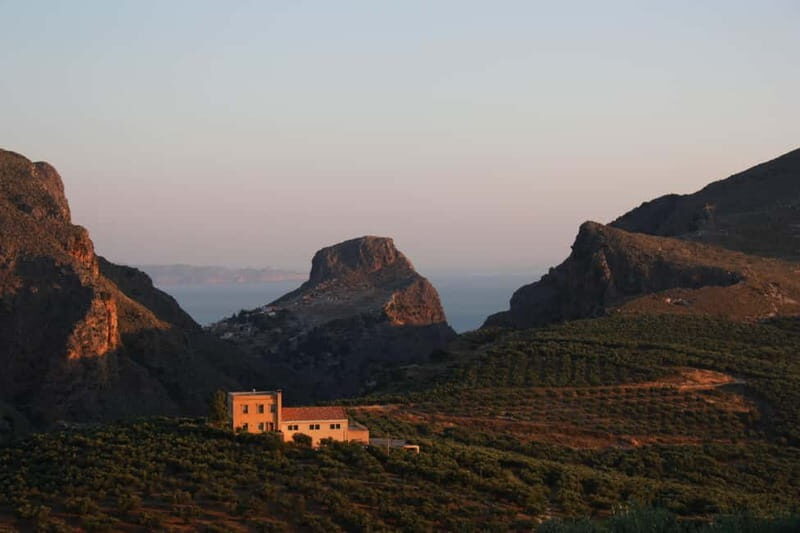 Kolymvari: Biolea Olive Oil Enthusiast Tour - Introduction: A Closer Look at the Biolea Olive Oil Enthusiast Tour