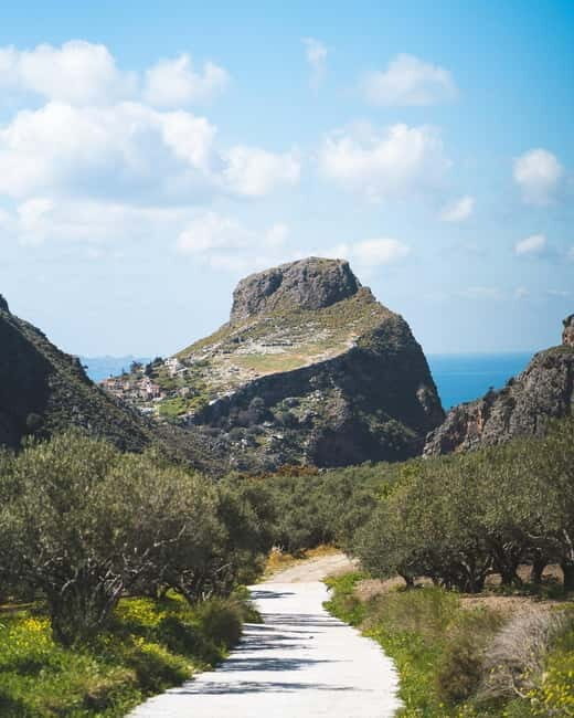 Kolymvari: Biolea Olive Oil Enthusiast Tour - Key Points