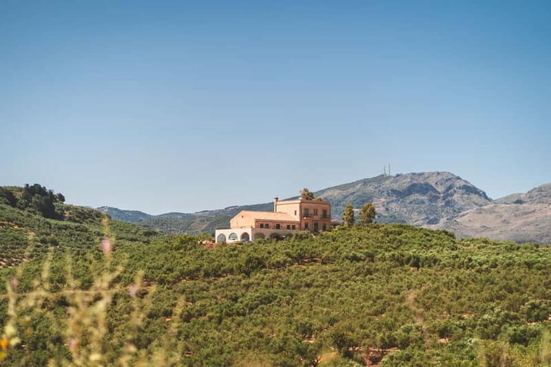 Kolymvari: Biolea Olive Oil Enthusiast Tour - The Practical Side: Details and Logistics