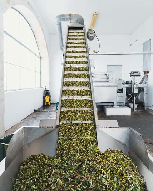 Kolymvari: Biolea Olive Oil Enthusiast Tour - Why You Should Consider This Tour