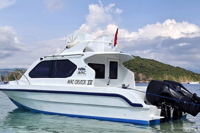 Komodo Adventure in a Day 6 Stunning Spots with Mac Cruise - Introduction: What to Expect from the Komodo Adventure in a Day Tour