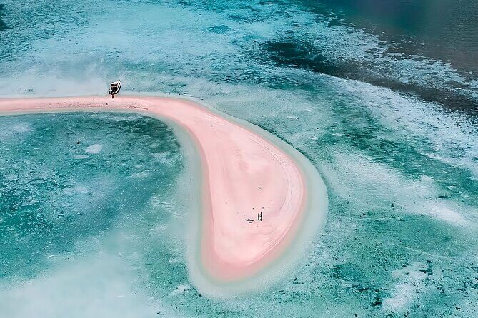 Komodo Adventure in a Day 6 Stunning Spots with Mac Cruise - The Sum Up: Is This Tour Worth It?