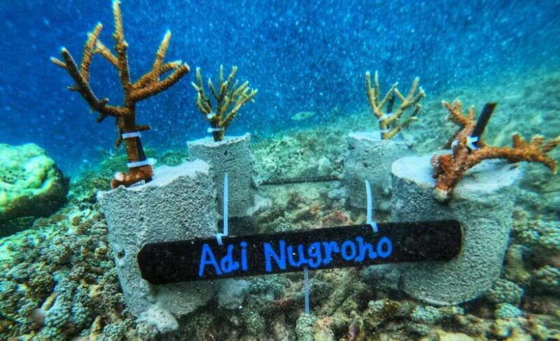 komodo-conservation-tour-with-unique-experience