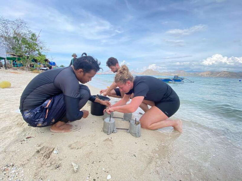 komodo-conservation-tour-with-unique-experience