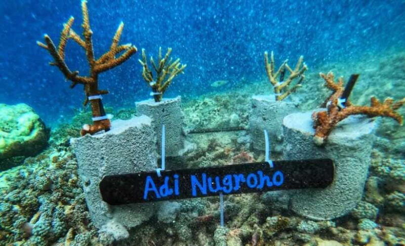 komodo-conservation-tour-with-unique-experience