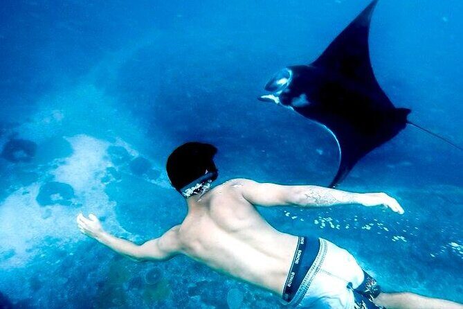 Komodo Island 2 Days 1 Night Tour with Flights from Bali - Authentic Experiences and Traveler Insights