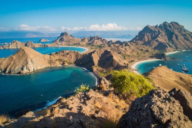 Komodo Island 2 Days 1 Night Tour with Flights from Bali - FAQ