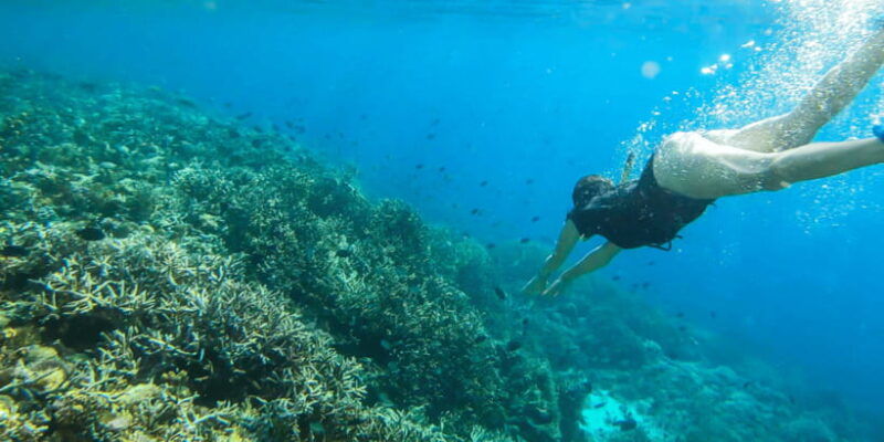 komodo-island-private-3-day-tour-with-boat-and-hotel-stay