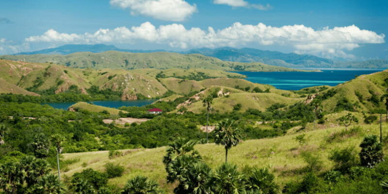 komodo-island-private-3-day-tour-with-boat-and-hotel-stay
