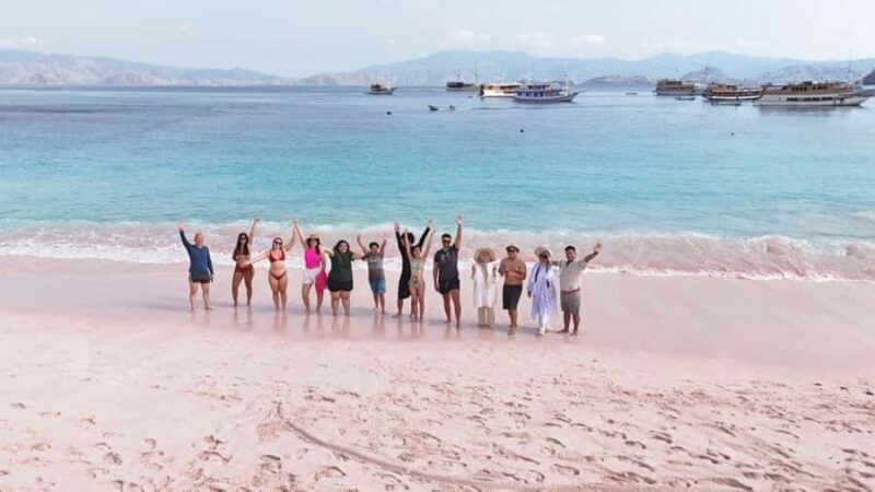 Komodo Island Shore Excursion for Cruise Ship Passengers - Introduction to the Experience