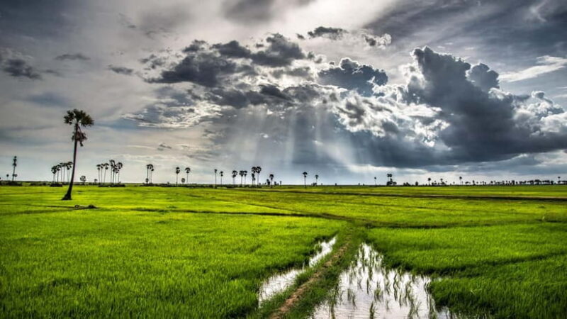 Kompong Kleang Village and Tonle Sab Lake - Kompong Kleang Village and Tonle Sap Lake: An Authentic Cambodian Day Trip