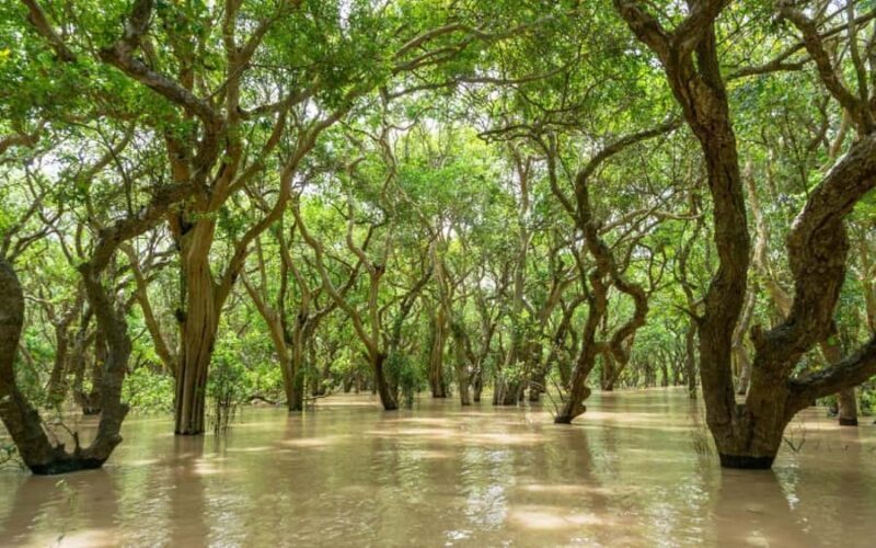 Kompong Pluk Tour - Key Points