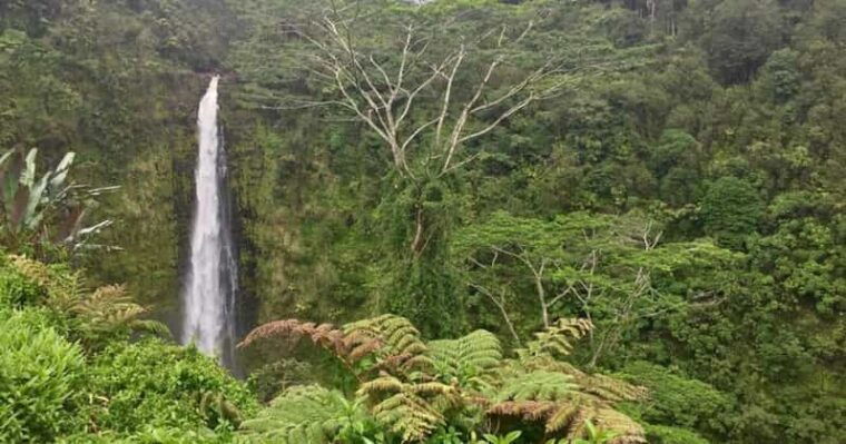 kona-big-island-big-volcano-adventure