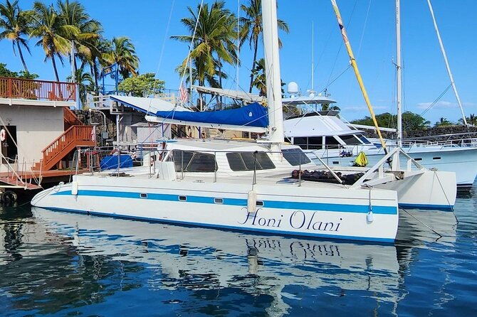 kona-coastline-escape-sail-with-dolphins-turtles-on-honi-olani