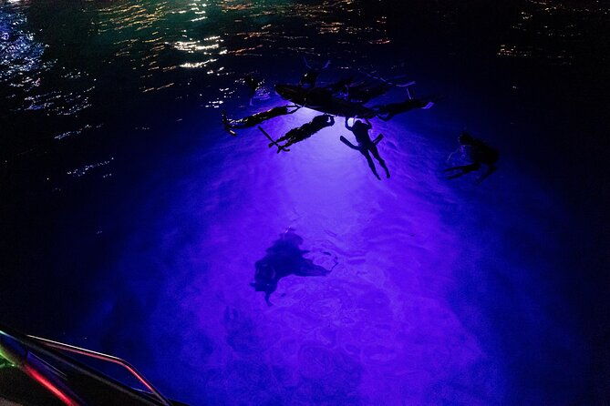 kona-night-manta-snorkel-tour-2
